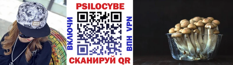 купить наркотик  Пыть-Ях  Псилоцибиновые грибы прущие грибы 
